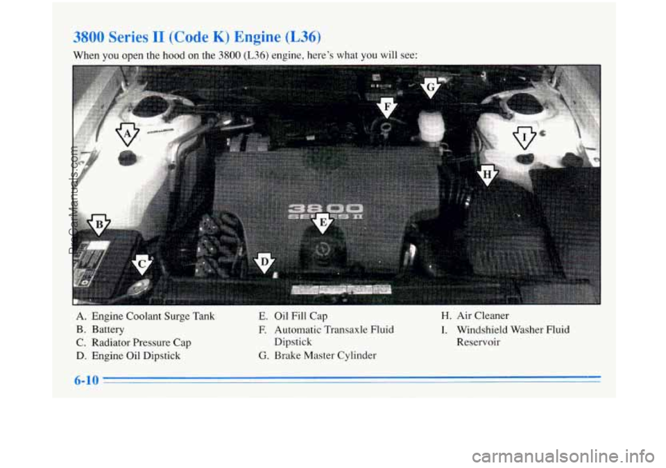 BUICK PARK AVENUE 1996  Owners Manual wv DCIIC~ II [~uut: n) u~gmc (L36) 
When you  open  the  hood  on the 3800 (L36) engine,  here’s  what  you  will  see: 
A. Engine Coolant  Surge Tank 
B. Battery 
C.  Radiator  Pressure  Cap 
D. En