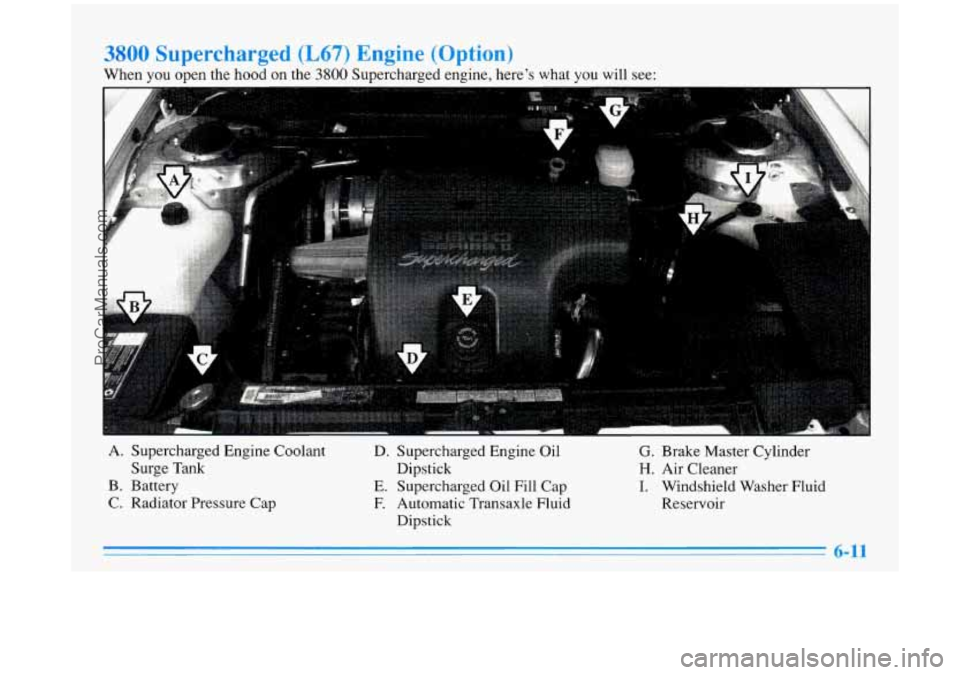BUICK PARK AVENUE 1996  Owners Manual 3800 Supercharged (L67) Engine (Option) 
When you open  the hood on the 3800 Supercharged engine,  heres  what  you  will see: 
... .  . 
A. Supercharged  Engine Coolant 
B.  Battery 
C.  Radiator Pr