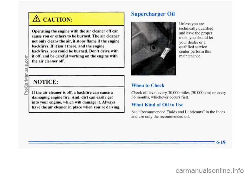 BUICK PARK AVENUE 1996  Owners Manual 1 Supercharger Oil 
Operati--; the  engine  with  the air cleaner off can 
cause  you  or  others  to  be  burned.  The  air  cleaner 
not  only  cleans  the  air,  it  stops  flame  if the  engine 
b