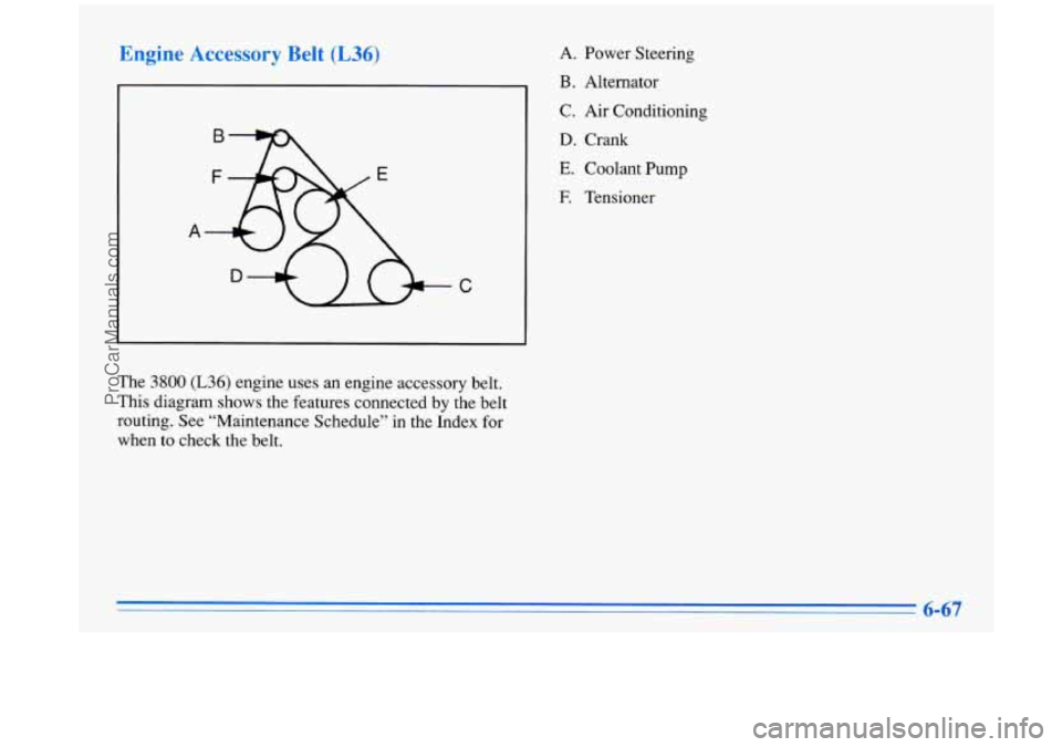 BUICK PARK AVENUE 1996  Owners Manual Engine Accessory Belt (L36) 
C 
I 
A.  Power Steering 
B. Alternator 
C.  Air  Conditioning 
D. Crank 
E. Coolant Pump 
E Tensioner 
The 
3800 (L36) engine  uses an  engine  accessory belt. 
This diag
