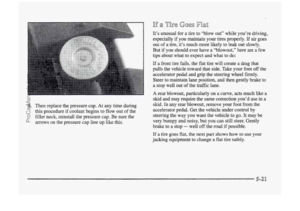 Page 261