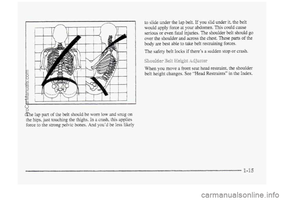 BUICK PARK AVENUE 1998  Owners Manual ProCarManuals.com 