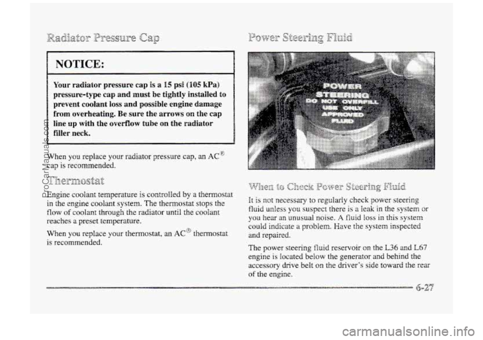 BUICK PARK AVENUE 1998  Owners Manual prevent  coolant  loss and possible engine damage 
~ filler  neck. 
When you replace your radiator  pressure  cap, an AC~ 
.t ;trolled by a themosta 
in <he  engine  coolak  system.  The  thennostat s