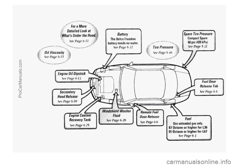 BUICK PARK AVENUE 1998  Owners Manual ProCarManuals.com 
