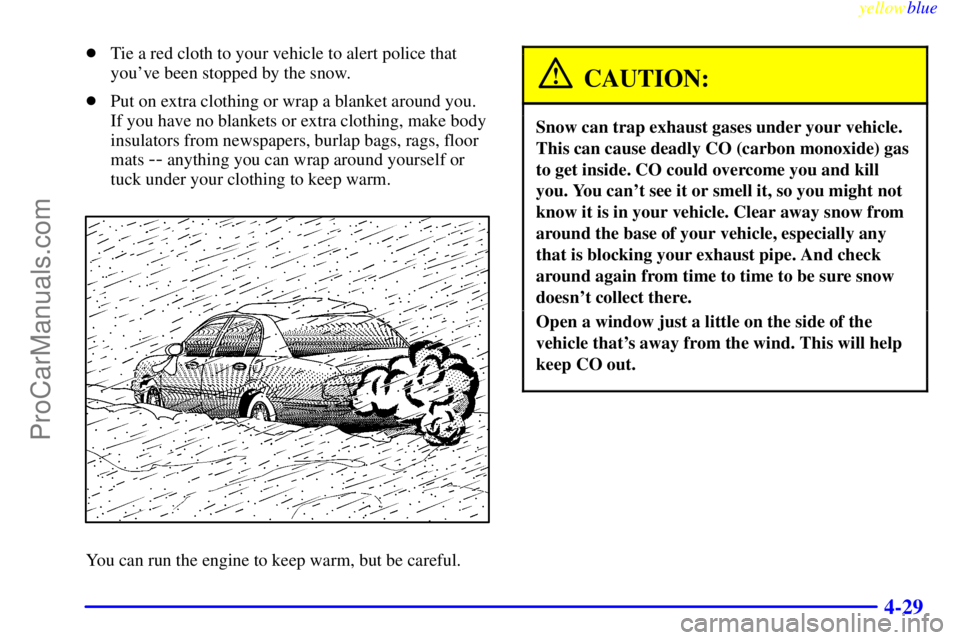 BUICK PARK AVENUE 1999  Owners Manual yellowblue     
4-29
Tie a red cloth to your vehicle to alert police that
youve been stopped by the snow.
Put on extra clothing or wrap a blanket around you.
If you have no blankets or extra clothi