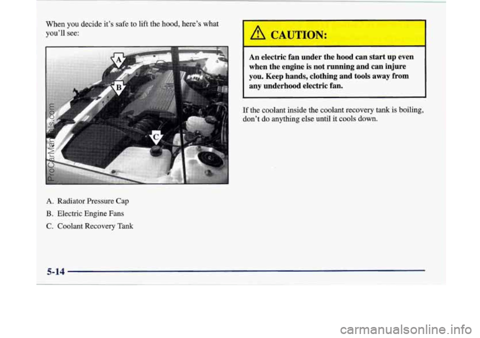 BUICK PARK AVENUE 1997  Owners Manual When  you decide its  safe to  lift  the hood, heres  what 
youll  see: 
A. Radiator Pressure  Cap 
B. Electric Engine Fans 
C.  Coolant Recovery 
Tank 
A CAUTION: 
An  electric  fan  under  the  h