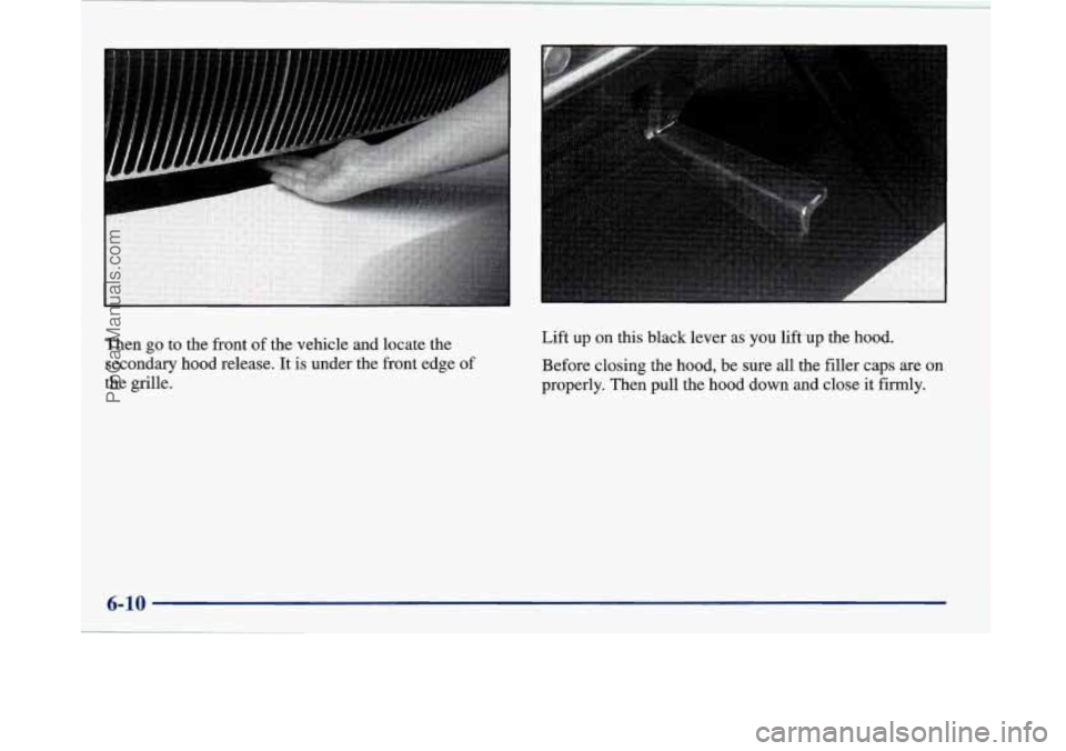 BUICK PARK AVENUE 1997  Owners Manual Then go to the front of the  vehicle and locate the 
secondary  hood release.  It is  under  the front edge  of 
the  grille.  Lift up 
on this black lever as  you lift up the hood. 
Before closing  t