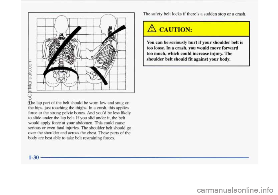 BUICK PARK AVENUE 1997  Owners Manual The  lap  part of the  belt  should  be  worn  low  and  snug  on 
the 
hips, just  touching  the  thighs. In a  crash, this applies 
force  to  the  strong  pelvic  bones.  And  you’d  be  less  li