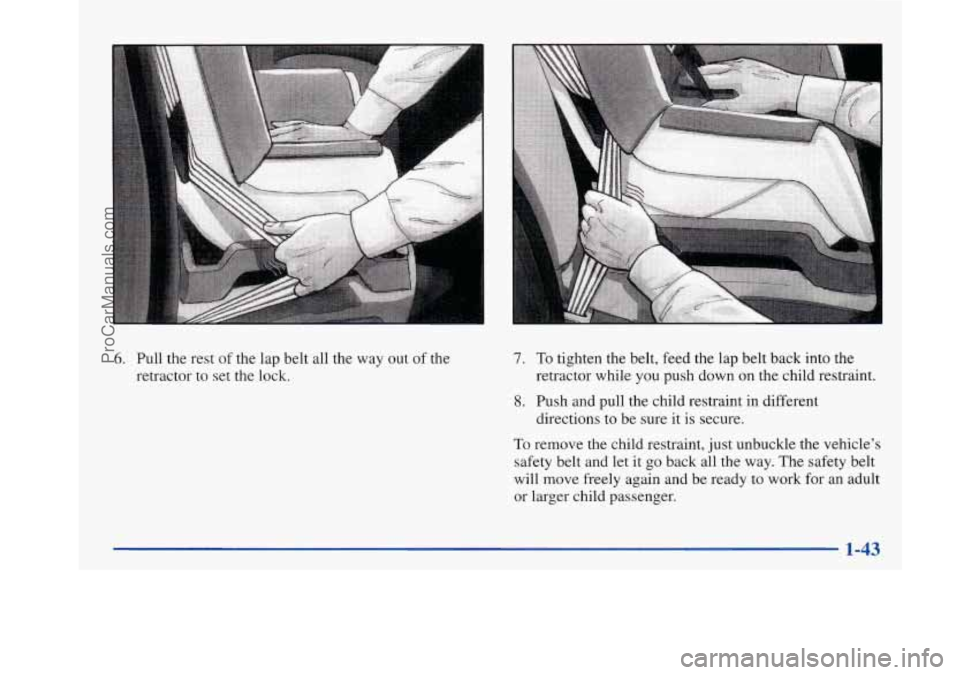 BUICK PARK AVENUE 1997  Owners Manual 6. Pull the rest  of  the  lap belt  all  the  way  out of the 
retractor to  set the  lock. 7. To tighten  the  belt,  feed the lap belt  back into the 
retractor while  you  push down on the  child 
