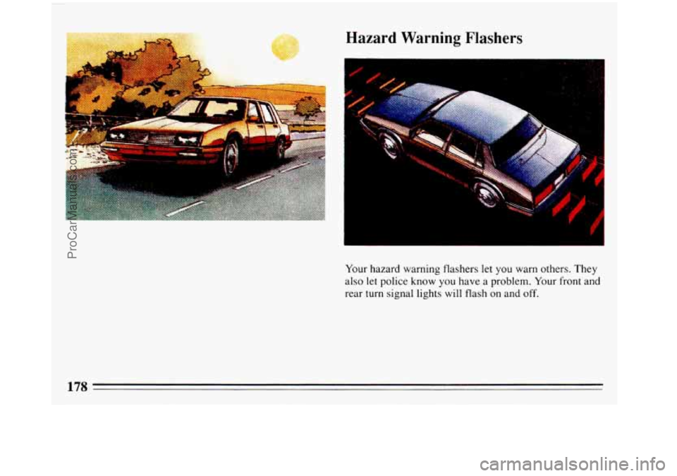 BUICK REGAL 1993  Owners Manual k 
Hazard Warning Flashers 
3 
Your  hazard warning flashers let you  warn others. They 
also  let police know 
you have  a problem. Your  front and 
rear  turn  signal lights  will flash 
on and off.