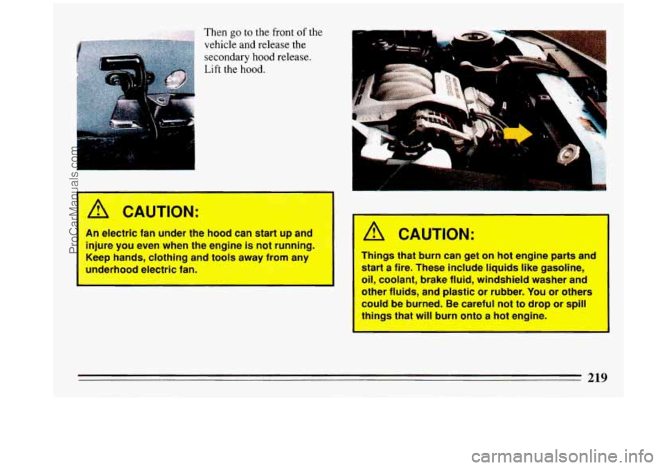 BUICK REGAL 1993  Owners Manual ,. ;, ., ,:,’:*< ,. j ;;.*g .;,;.a> -*:~:inh Then go to the  front of the 
vehicle  and release  the 
secondary  hood  release. 
Lift  the hood. 
4 CAUTION: 
An electric fr ~-  der the  hood  can  s