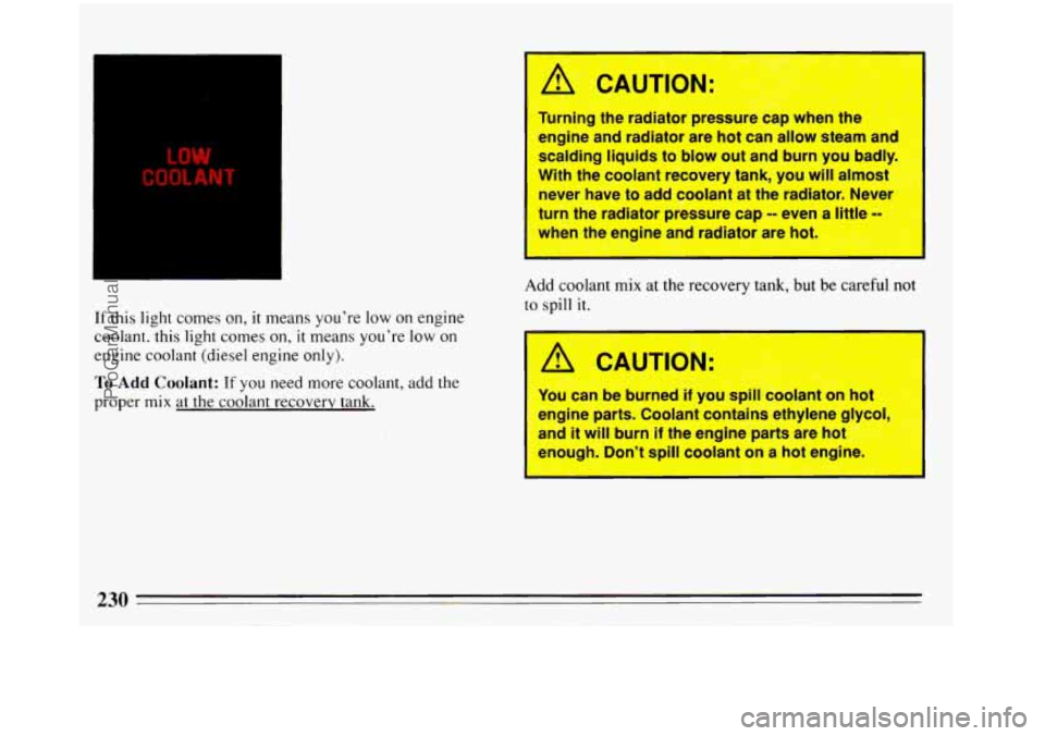 BUICK REGAL 1993  Owners Manual If this light comes on, it means youre  low  on  engine 
coolant.  this light  comes 
on, it means  youre  low on 
engine  coolant (diesel  engine only). 
To Add Coolant: If you need more coolant, a