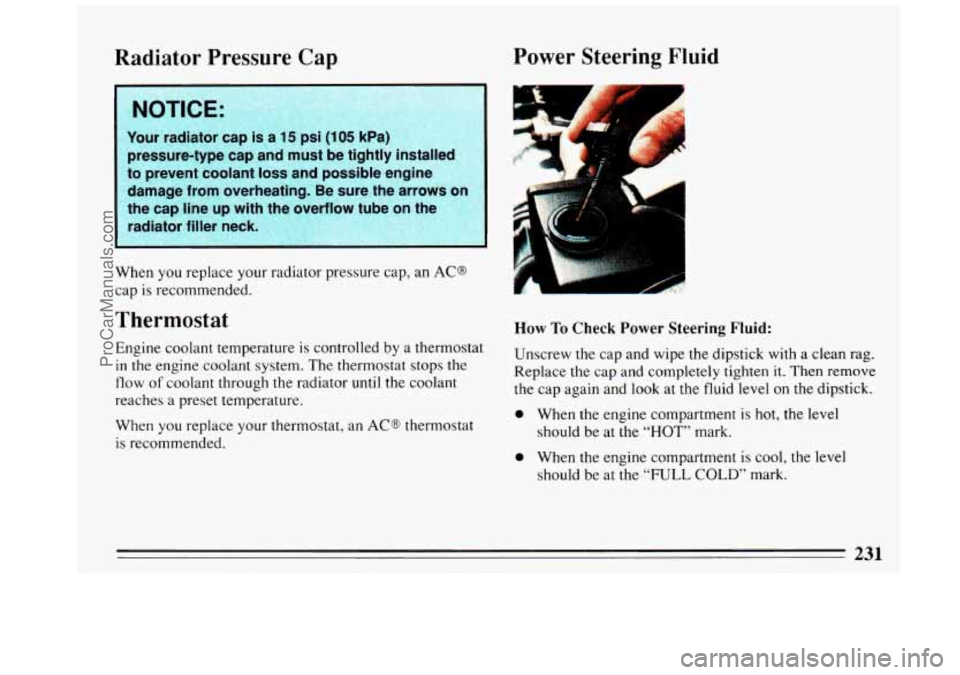 BUICK REGAL 1993  Owners Manual Radiator Pressure Cap rower Steerlng Fluid 
1; NOTICE: 1 
.:: Your radiator  cap  is a 15 psi (1 05 kPa) 
:: pressure-type  cap  and  must  be tightly  installed 
,*to  prevent  coolant  loss and  pos