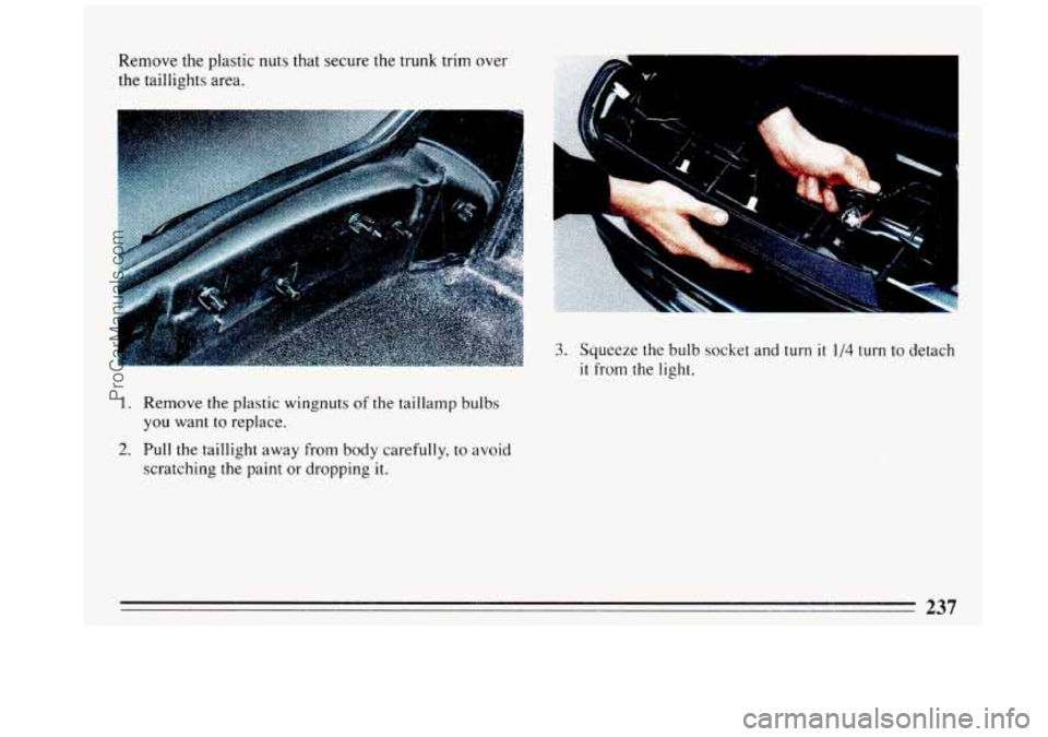 BUICK REGAL 1993  Owners Manual Remove the plastic  nuts that secure  the trunk trim over 
the taillights  area. 
1. Remove  the plastic  wingnuts of the taillamp  bulbs 
you  want 
to replace. 
2. Pull the taillight  away from body