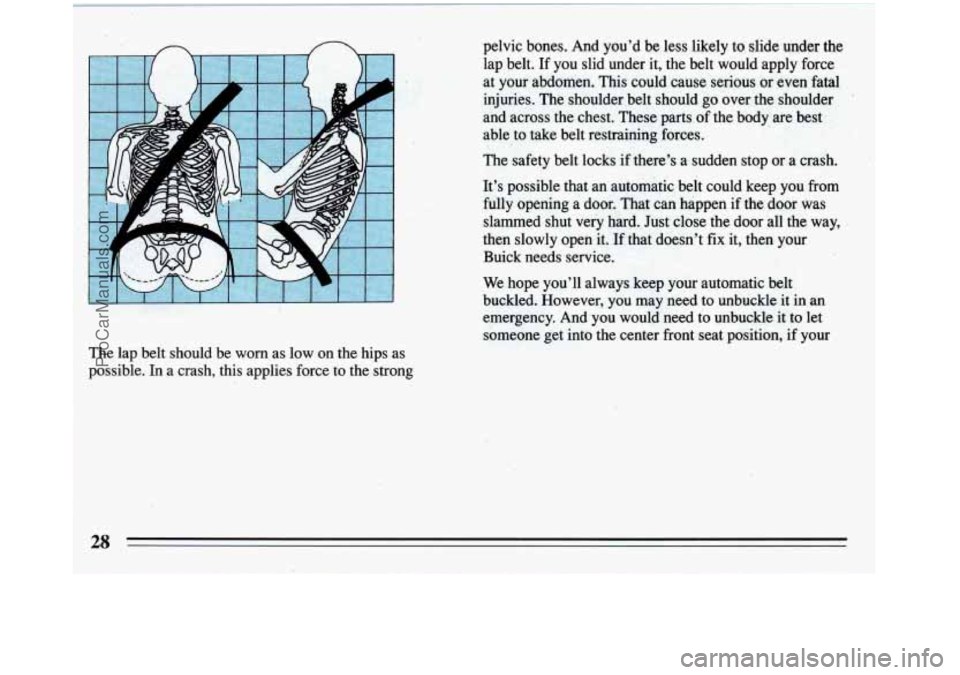 BUICK REGAL 1993  Owners Manual pelvic bones. And you’d be less likely  to  slide under the 
lap  belt.  If  you  slid under it,  the belt  would  apply  force 
at  your abdomen.  This  could  cause  serious  or even  fatal 
injur