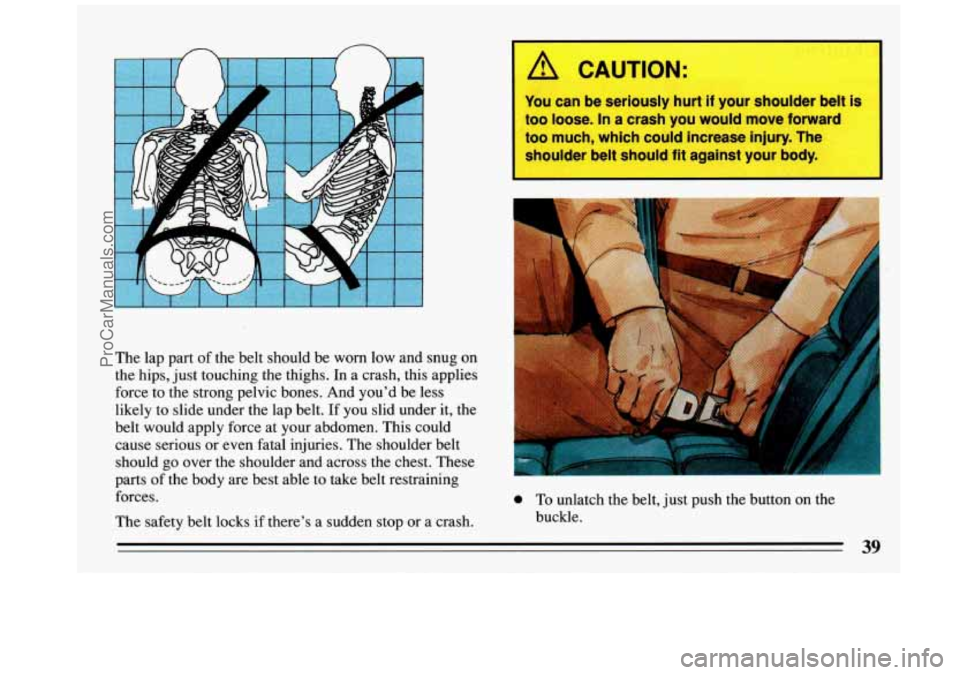 BUICK REGAL 1993  Owners Manual The  lap  part of the  belt  should  be worn low and  snug  on 
the  hips,  just  touching  the  thighs. In a  crash,  this applies 
force  to the  strong  pelvic bones.  And  youd be less 
likely  t