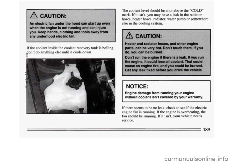 BUICK REGAL 1994  Owners Manual If the  coolant  inside  the  coolant  recovery  tank  is  boiling, 
don’t  do anything  else until  it  cools  down.  The  coolant  level  should  be 
at or  above  the 
“COLD’ 
mark. If it isn