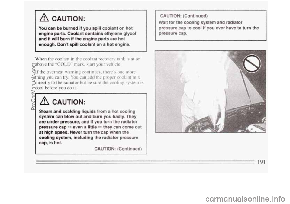 BUICK REGAL 1994  Owners Manual I A CAUTION: 
You can be  burned  if you  spill  coolant  on hot 
engine  parts.  Coolant  contains  ethylene  glycol 
and 
it will burn if the  engine  parts are hot 
enough,  Don’t  spill coolant 