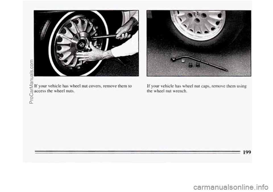 BUICK REGAL 1994  Owners Manual f your vehicle has wheel nut covers, remove them to 
lccess the wheel  nuts. 
If your vehicle has wheel nut caps,  remove  them using 
the  wheel 
nut wrench. 
199 
ProCarManuals.com 
