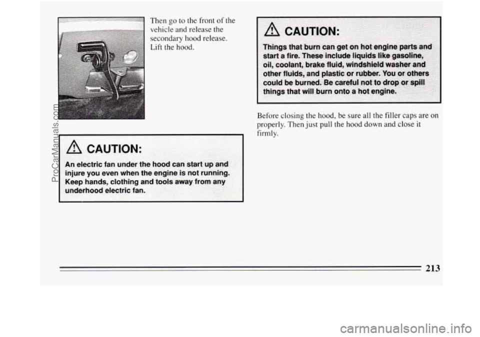 BUICK REGAL 1994  Owners Manual Then go to the  front of the 
vehicle and release  the 
secondary  hood release. 
Lift the  hood. 
Before closing the hood, 
be sure  all the filler  caps  are  on 
properly. Then  just pull the hood 