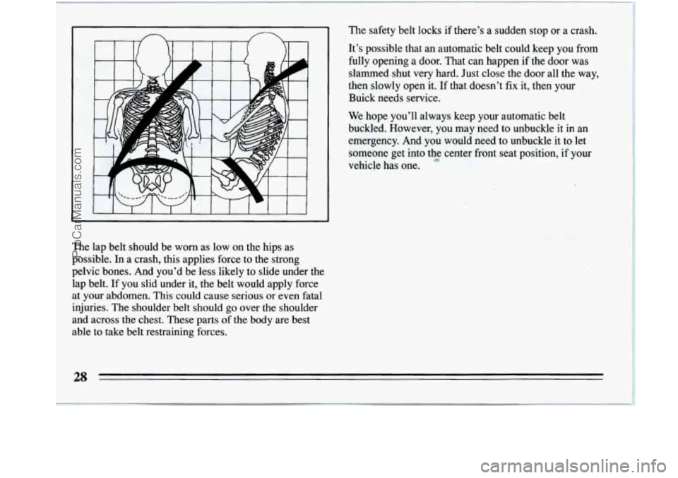 BUICK REGAL 1994  Owners Manual The  safety  belt  locks  if  there’s  a  sudden  stop  or  a  crash.\
 
It’s  possible  that  an  automatic  belt  could  keep  you  from 
fully  opening  a  door.  That  can  happen if the  door