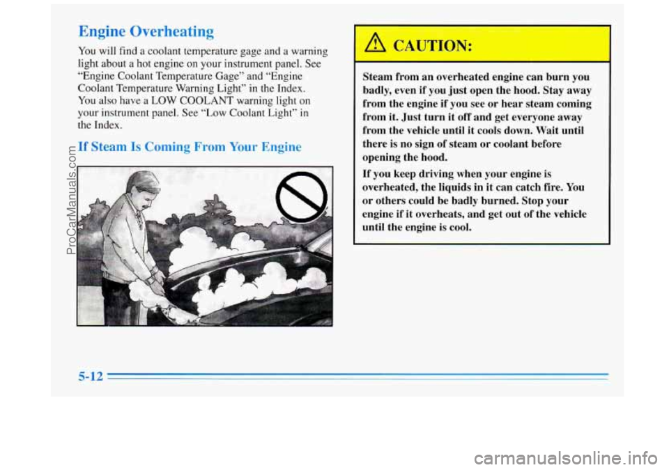 BUICK REGAL 1996  Owners Manual Engine Overheating 
YOU will find a  coolant  temperature  gage and a warning 
light  about  a  hot engine  on your instrument panel.  See 
“Engine Coolant Temperature  Gage” and “Engine 
Coolan
