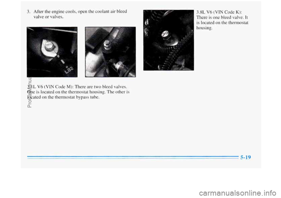 BUICK REGAL 1996  Owners Manual 3.  After the engine  cools,  open the coolant  air bleed 
valve 
or valves. 
3.1L 
V6 (VIN Code M): There  are  two  bleed  valves. 
One 
is located on the thermostat  housing.  The  other is 
locate