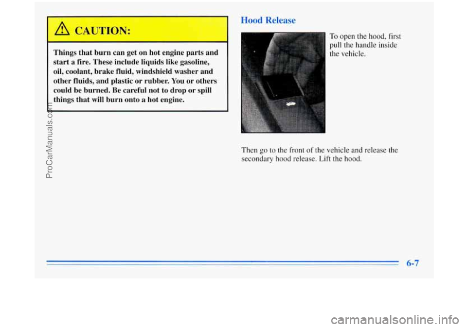 BUICK REGAL 1996  Owners Manual Hood Release 
.. . /! CAUTION: 
Things  that  burn  can get  on  hot  engine  parts  and 
start  a  fire.  These  include  liquids  like  gasoline, 
oil,  coolant,  brake  fluid,  windshield  washer  