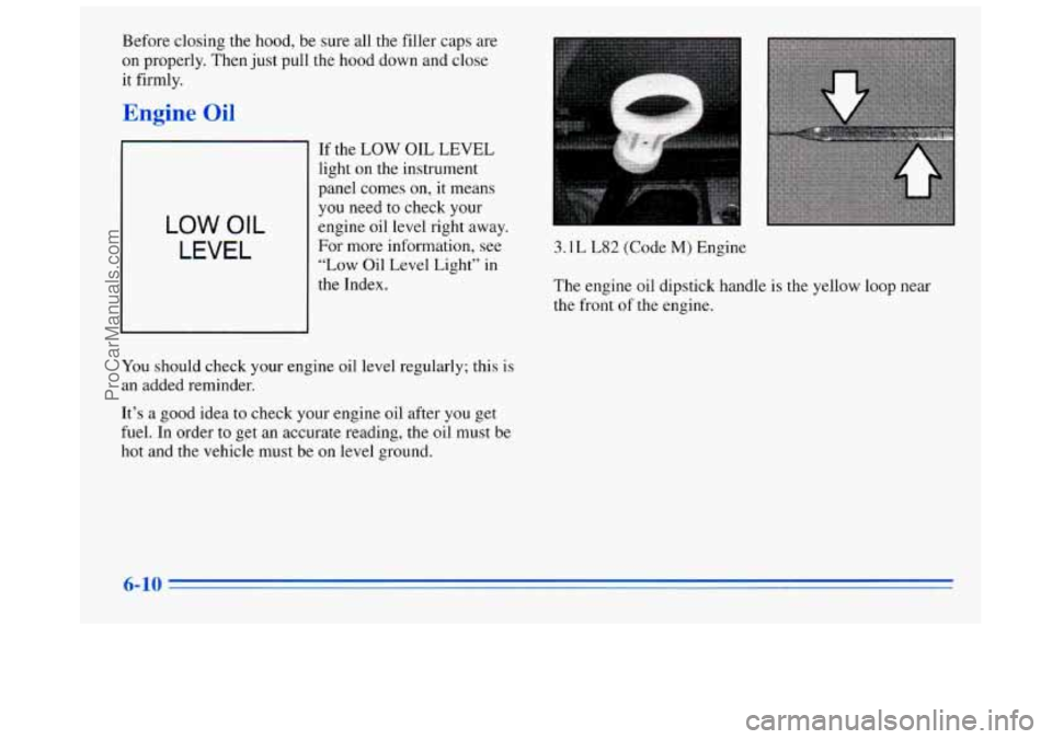 BUICK REGAL 1996  Owners Manual Before closing the hood, be sure all the filler caps  are 
on  properly.  Then just pull  the hood down and  close 
it firmly. 
hgine 
If  the  LOW  OIL  LEVEL 
light on the instrument 
panel  comes  
