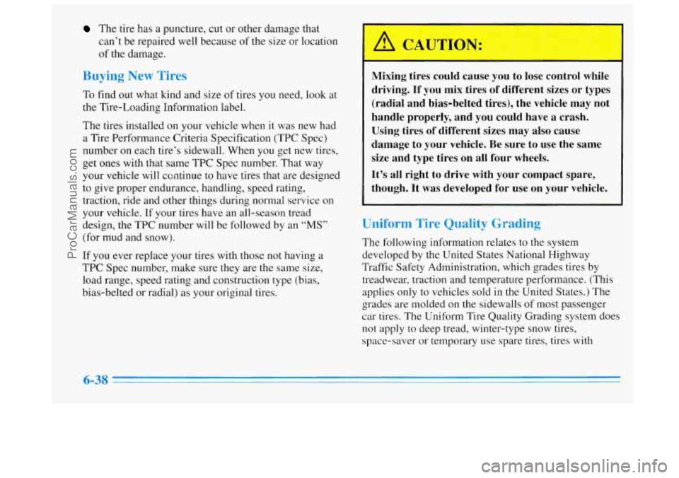 BUICK REGAL 1996 Owners Manual The tire has a puncture, cut or other damage that
can’t be repaired well because of the size or location
of the damage.
Buying New Tires
To find out what kind and size of tires you nee BUICK REGAL 1996 Owners Manual The tire has a puncture, cut or other damage that
can’t be repaired well because of the size or location
of the damage.
Buying New Tires
To find out what kind and size of tires you nee