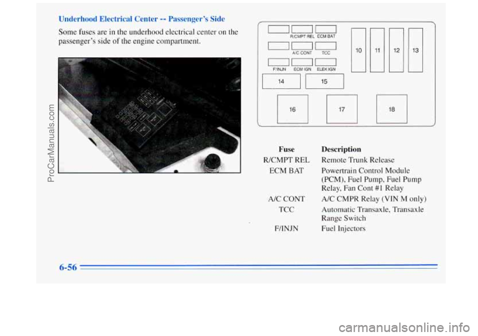 BUICK REGAL 1996  Owners Manual Underhood  Electrical  Center -- Passengers  Side 
Some  fuses  are in the underhood electrical center on the 
passengers  side 
of the engine compartment. 
ODD RICMPT REL ECM BAT 
~~~ A!C CONT  TCC
