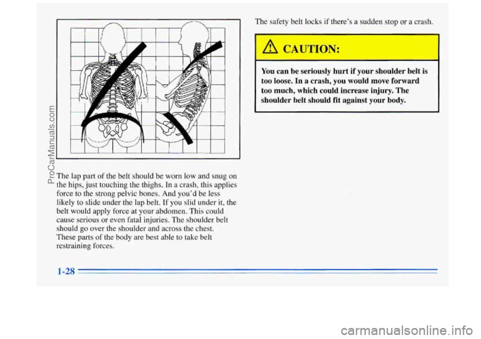 BUICK REGAL 1996  Owners Manual The  lap part of the belt‘ should  be worn  low and snug on 
the hips, just touching the thighs.  In a crash, this applies 
force 
to the  strong pelvic  bones. And you’d  be less 
likely to slide