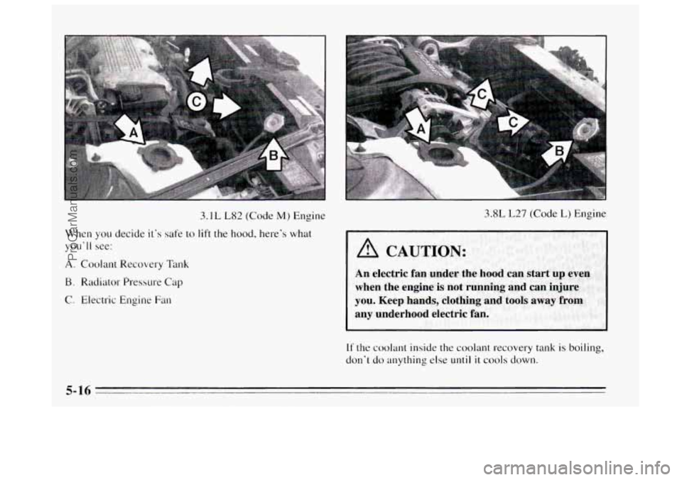 BUICK REGAL 1995  Owners Manual 3.1 L L82  (Code M) Engine 
When 
you decide  it’s safe to lift the hood, here’s  what 
you’ 
I1 see: 
A. Coolant Recovery Tank 
B. Radiator Pressure Cap 
C. Electric Engine  Fan 
3.8L L27 (Code