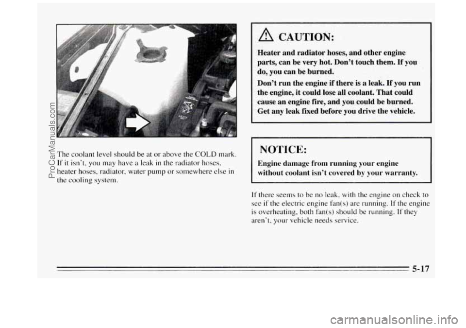 BUICK REGAL 1995  Owners Manual The coolant  level should  be at  or  above the COLD mark. 
If it isn’t, you may have a leak in the radiator  hoses, 
heater  hoses,  radiator, water 
pump or somewhere  else in 
the cooling system.