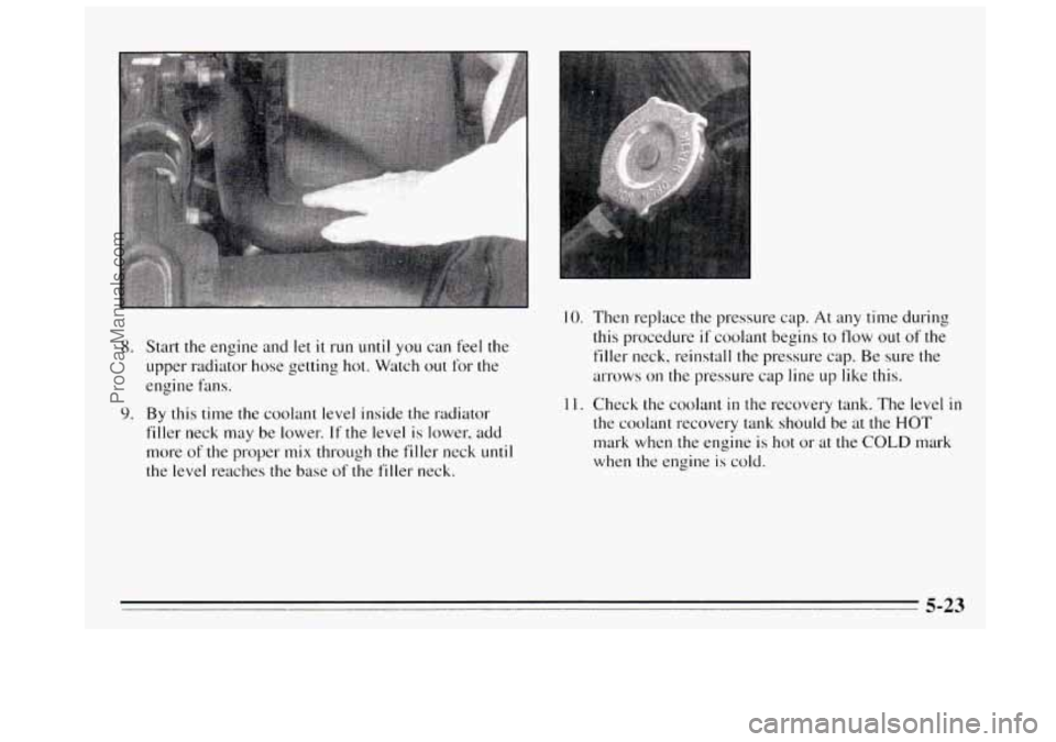 BUICK REGAL 1995  Owners Manual 8. Start the engine  and let it run until you can feel  the 
upper radiator hose  getting hot. Watch 
out for the 
engine  hns. 
9. By this time the  coolant level inside  the radiator 
filler  neck  
