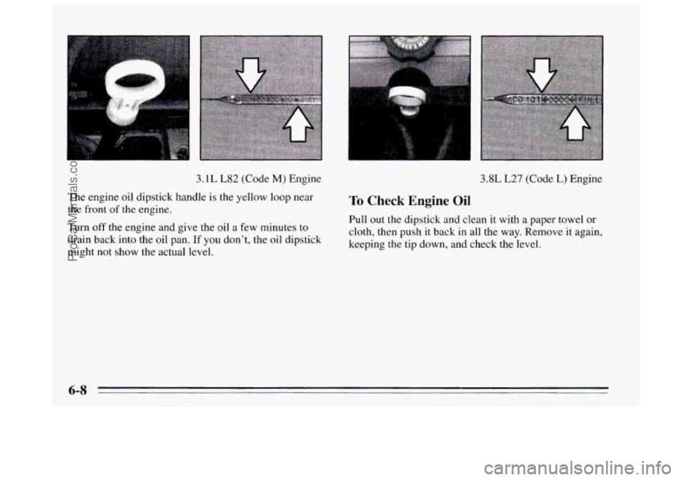 BUICK REGAL 1995  Owners Manual 3.1 L L82 (Code M) Engine 
The  engine  oil  dipstick handle 
is the yellow  loop near 
the  front  of the  engine. 
Turn off the engine  and give  the oil a few minutes  to 
drain  back into  the  oi