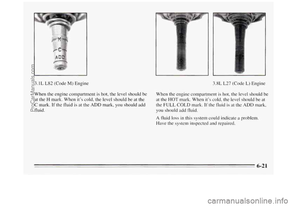 BUICK REGAL 1995  Owners Manual 3.1L L82 (Code M) Engine 3.8L L27 (Code L) Engine 
When  the  engine  compartment is  hot,  the  level should be 
When the engine  compartment 
is hot, the level should be 
at  the 
H mark. When it’