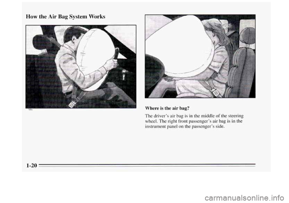 BUICK REGAL 1995  Owners Manual How the Air Bag System Works 
P 
Where is the air bag? 
The driver’s  air bag is in the middle of the steering 
wheel. The right front passenger’s  air bag 
is in the 
instrument panel  on the pas