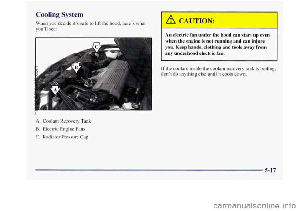 BUICK REGAL 1997  Owners Manual Cooling System 
When you decide it’s safe  to lift the  hood, here’s what 
you’ll see: 
A. Coolant  Recovery  Tank 
B. Electric  Engine  Fans 
C. Radiator Pressure Cap 
h!~ CAUTION: 
An electric