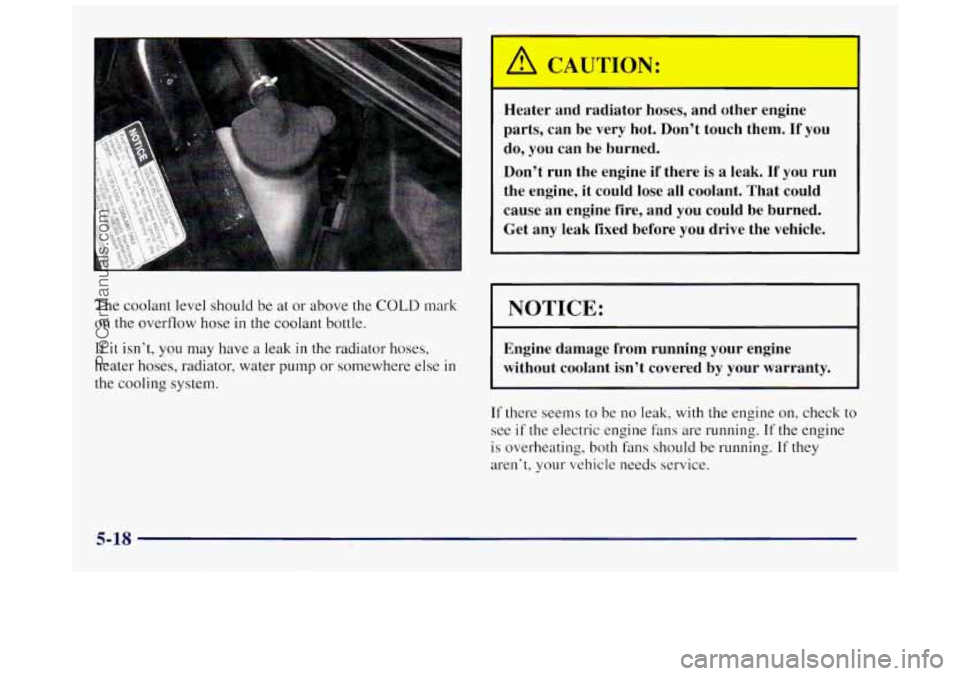 BUICK REGAL 1997  Owners Manual The  coolant level should  be at or  above  the COLD mark 
on the overflow hose in the coolant bottle. 
If it isn’t,  you  may  have a leak in the radiator hoses, 
heater hoses, radiator, water 
pum