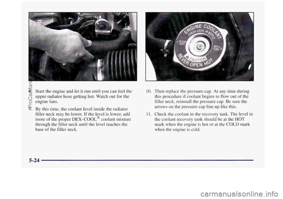 BUICK REGAL 1997  Owners Manual 8. Start the engine and let it run until you can feel the 
upper radiator hose  getting  hot. Watch out  for 
the 
engine  fans. 
9. By this time,  the coolant  level  inside the radiator 
filler neck