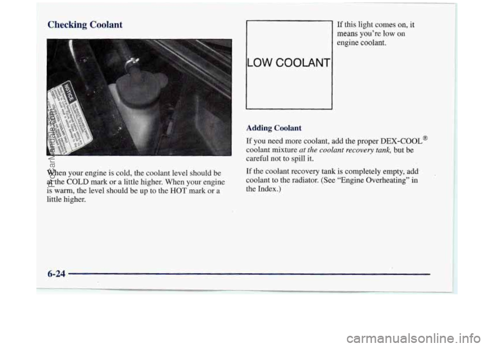 BUICK REGAL 1997  Owners Manual Checking Coolant 
When  your  engine is cold,  the  coolant  level  should  be 
at  the  COLD  mark  or  a  little  higher. When your engine 
is warm,  the  level  should  be up  to  the HOT mark  or 