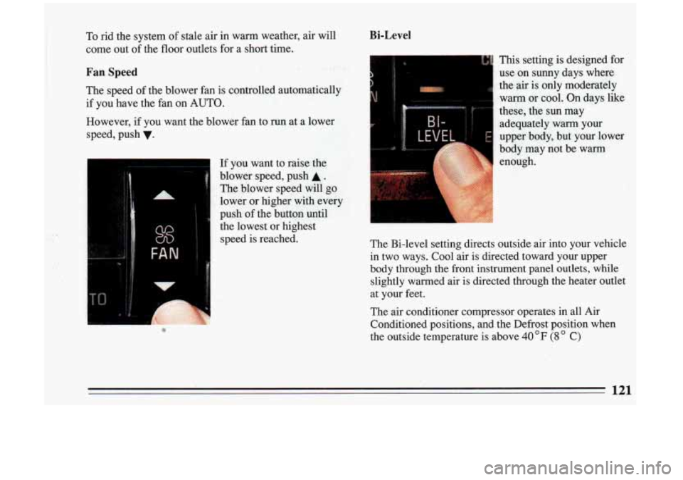 BUICK RIVIERA 1993  Owners Manual To  rid the system of stale air  in  warm  weather,  air will 
come  out of the  floor  outlets  for  a  short  time. 
Fan Speed 
Bi-Level 
H 
The  speed  of the  blower  fan  is  controlled  automanc
