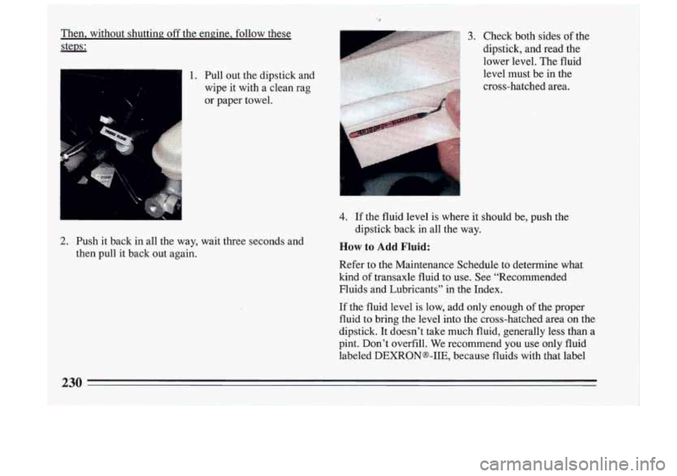 BUICK RIVIERA 1993  Owners Manual Then,  without  shutting off the  engine,  follow  these 
stem: 
1. Pull  out  the  dipstick  and 
wipe  it  with  a  clean  rag 
or  paper  towel. 
2. Push  it  ‘back in aa the  way,  wait  three  
