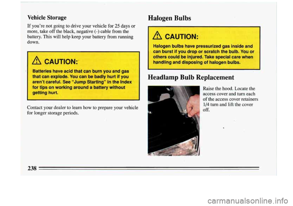 BUICK RIVIERA 1993  Owners Manual Vehicle Storage Halogen  Bulbs 
If you’re  not  going  to  drive  your  vehicle for 25 days  or 
-more,  take 
off the  black,  negative (-) cable  from  the 
.battery.  This  will  help  keep  your
