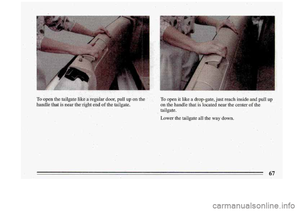 BUICK ROADMASTER 1993  Owners Manual Lower the  tailgate all the. .way down. 
I. .. ., 67  