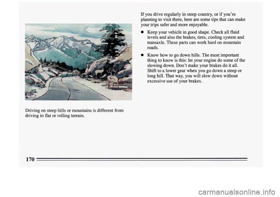 BUICK SKYLARK 1993  Owners Manual Driving  on  steep  hills  or  mountains  is  different  from 
driving  in  flat  or  rolling  terrain. If  you 
drive  regularly  in  steep  country,  or  if  you’re 
planning  to  visit  there,  h