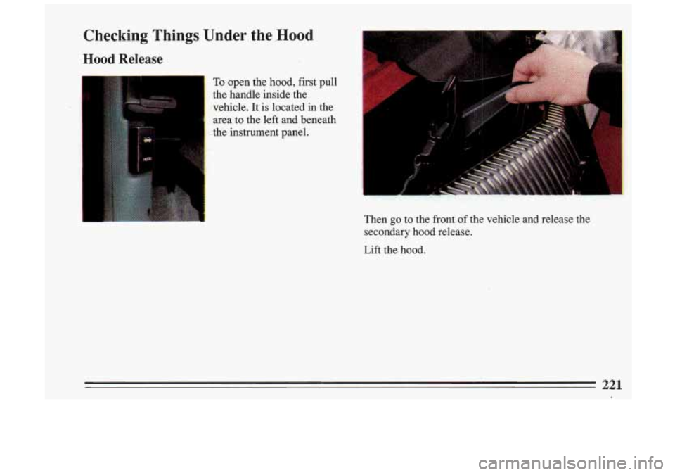 BUICK SKYLARK 1993  Owners Manual Checking  Things Under the .Hood 
Hood Release 
I 
To open the hood,  first  pull 
the  handle  inside  the 
vehicle.  It 
is located in the 
area  to the left  and  beneath 
the  instrument  panel. 
