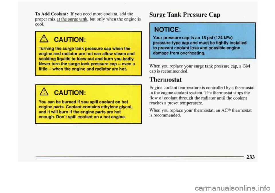 BUICK SKYLARK 1993  Owners Manual To Add Coolant: If you  need  more  coolant,  add  the 
proper  mix  at  the  surge  tank,  but  only  when  the  engine  is  cool. 
A CAUTION: 
Turning the surge tank pressure cap  when the 
engine a