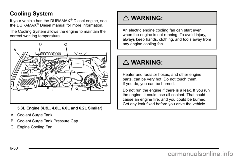 GMC SIERRA 2010  Owners Manual Cooling System
If your vehicle has the DURAMAX®Diesel engine, see
the DURAMAX®Diesel manual for more information.
The Cooling System allows the engine to maintain the
correct working temperature.
5.